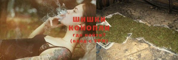 индика Вязьма