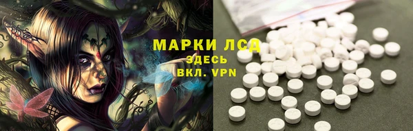 стафф Верхний Тагил