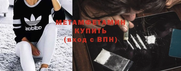 индика Вязьма