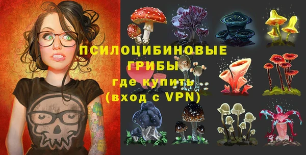 индика Вязьма