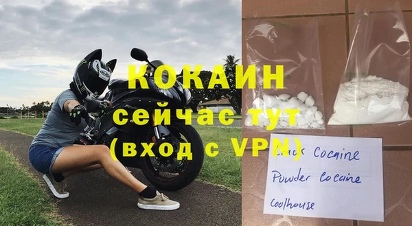 индика Вязьма