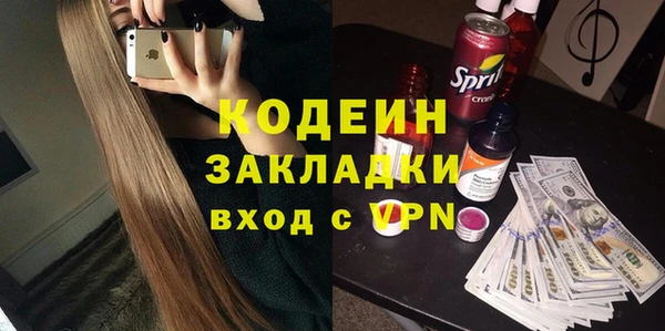индика Вязьма