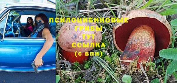 дживик Верея