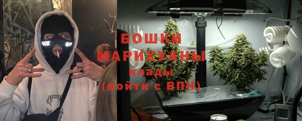дживик Верея