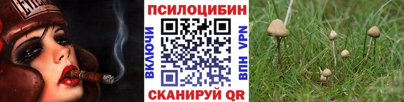 Галлюциногенные грибы ЛСД hydra рабочий сайт Жуковка